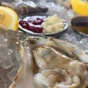 Oysters