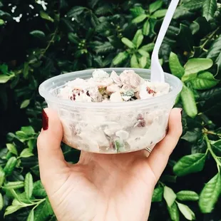 Our Grab and Go cooler is always stocked with house-made salads, parfaits, soups, and much more!