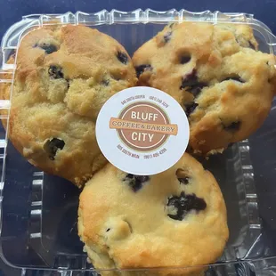 Blueberry Muffins