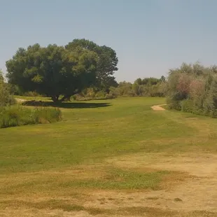 Hole #2 - Dog Leg Right, View of Green