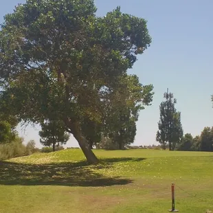 Hole #3 Green - 140 Yard Par 3