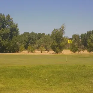 Hole #4 Green - 290 Yard Par 4