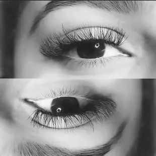 Eyelashes