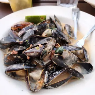 Thai Curry Mussels