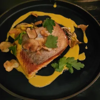 Salmon