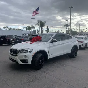 My gorgeous new girl (X6) front and center with a pretty bow on top!!