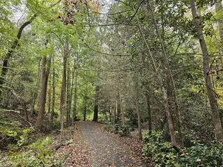Hatcher Garden And Woodland Preserve