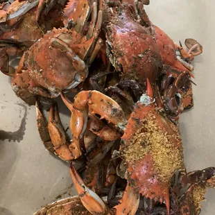 Large crabs