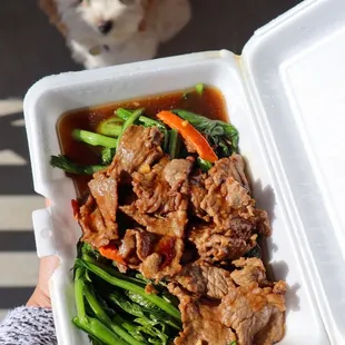 Yuchoy Beef @tiffhuangry