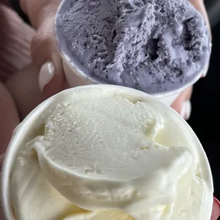 Homemade blueberry d lemon custard