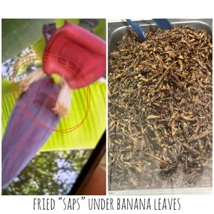 The stirred fried "croutons" are saps from the banana leaves.