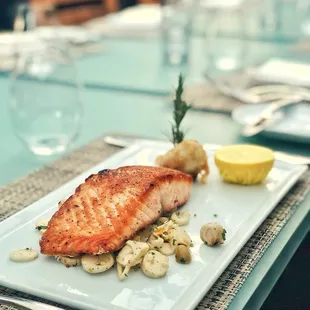 Salmon