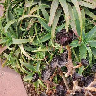 Outside the walk up area...