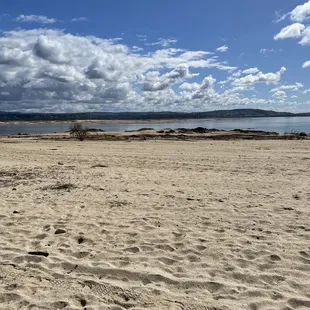 Horse backing along the lake