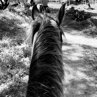 End of the two hour trail ride; Cola was fabulous