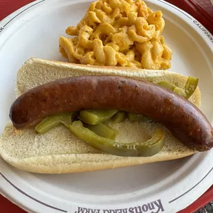 Alligator Meat Hotdog