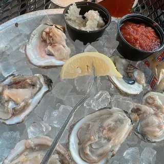 Oysters (12)