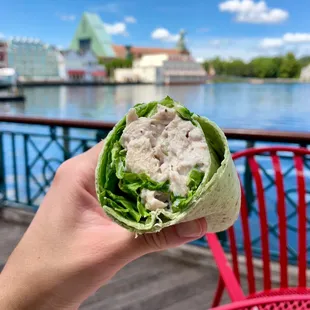 Chicken Salad Wrap