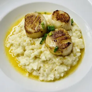 Scallops w risotto