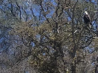 Berryessa Water Sports