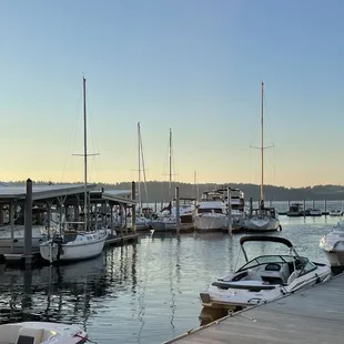 boats docked at a dock