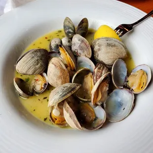 Steamed Clams