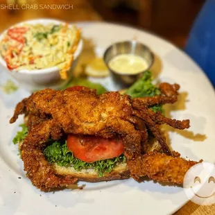 Soft Soft-Shell Crab Sandwich- (Yes, the whole crab)