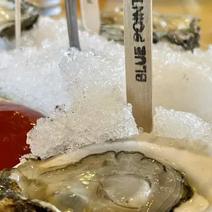 an oyster on a half shell