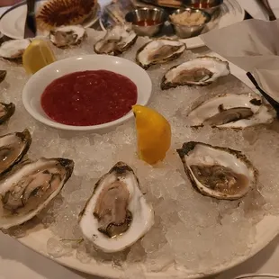 oysters
