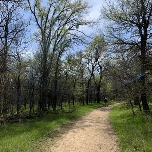 Nature trail.