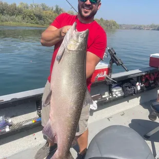 King Salmon (24 pounds)