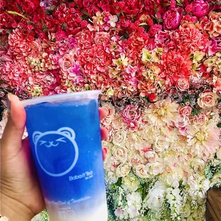 Cloud 9 northern lights - coconut and lychee