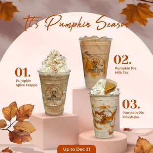 It&apos;s Pumpkin Season