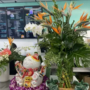 My flowers I brought in to congratulate the new business!