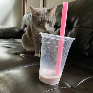 Taro milk tea with boba