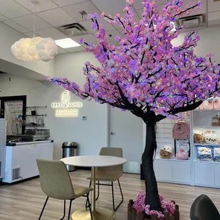 a cherry blossom tree in a coffee shop