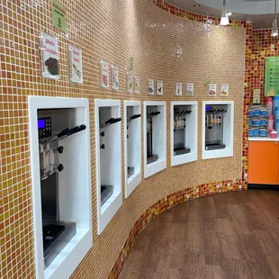 12 different fro yo flavors