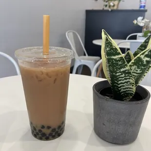 Black Tea with just a splash of milk tea with boba