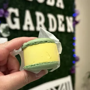 a hand holding a macaron