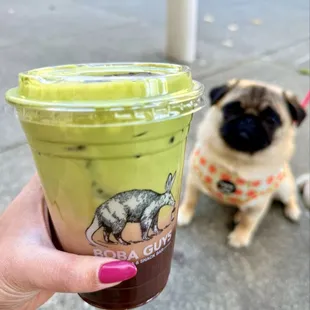 Boba Guys