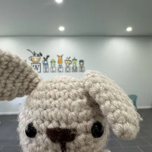 BunBun says hi