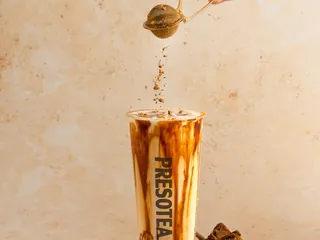Presotea Tampa