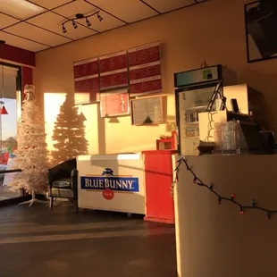 a christmas tree in the window