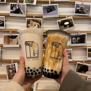 Jasmine Milk Tea with Bobacat Boba and Sugarcat Fresh Milk Brown Sugar Signature