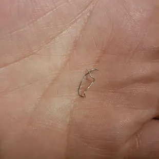 a hand with a tiny piece of metal on it
