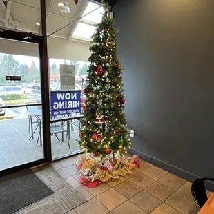 Pretty tree in lobby