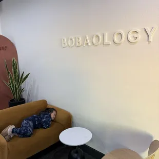 Lounging area aka nap area