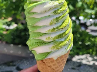 Kyoto Matcha - Towson