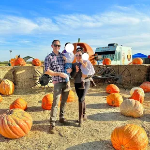 Baby loved the big pumpkins in this area
