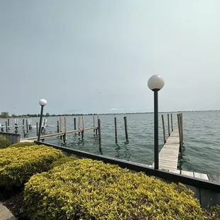 View from outdoor dining area.